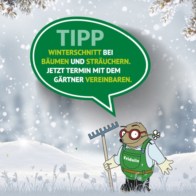 Gartentipp Januar: Zeit für den Winterschnitt! - Der Winter ist die ideale Zeit, um Bäume und Sträucher in Form zu bringen. Solange die Pflanzen in der Ruhephase sind, ist ein fachgerechter Winterschnitt besonders schonend und sorgt für ein kräftiges Wachstum sowie eine prachtvolle Blüte im kommenden Frühjahr.