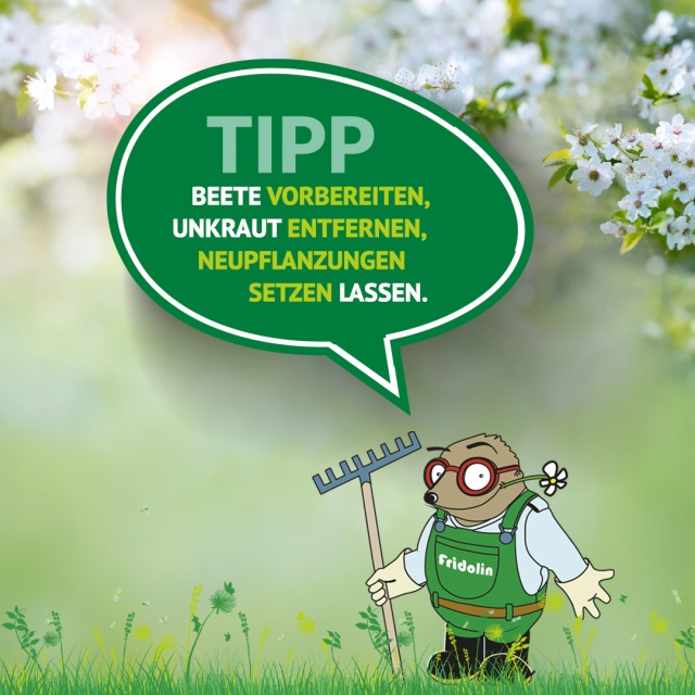 Gartentipp April: Startschuss für die Beetpflege & Neupflanzungen! - Der April macht, was er will? Von wegen! Im Garten gibt es jetzt eine klare Richtung: Wachstum! Damit Deine Stauden und Gehölze prachtvoll gedeihen können, ist jetzt die beste Zeit, um die Beete für das Gartenjahr vorzubereiten.