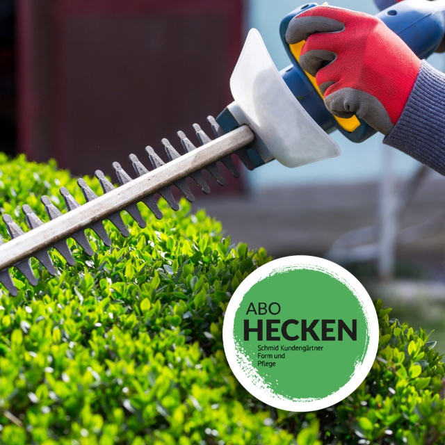 Nie mehr aus der Form: Das Schmid Heckenschnitt-Abo! - Eine perfekt geschnittene Hecke ist der Rahmen Ihres Gartens – doch der richtige Schnitt erfordert Zeit und das passende Know-how. Mit unserem Heckenschnitt-Abo geniessen Sie das ganze Jahr über eine gepflegte Optik, ohne selbst zur Schere greifen zu müssen.