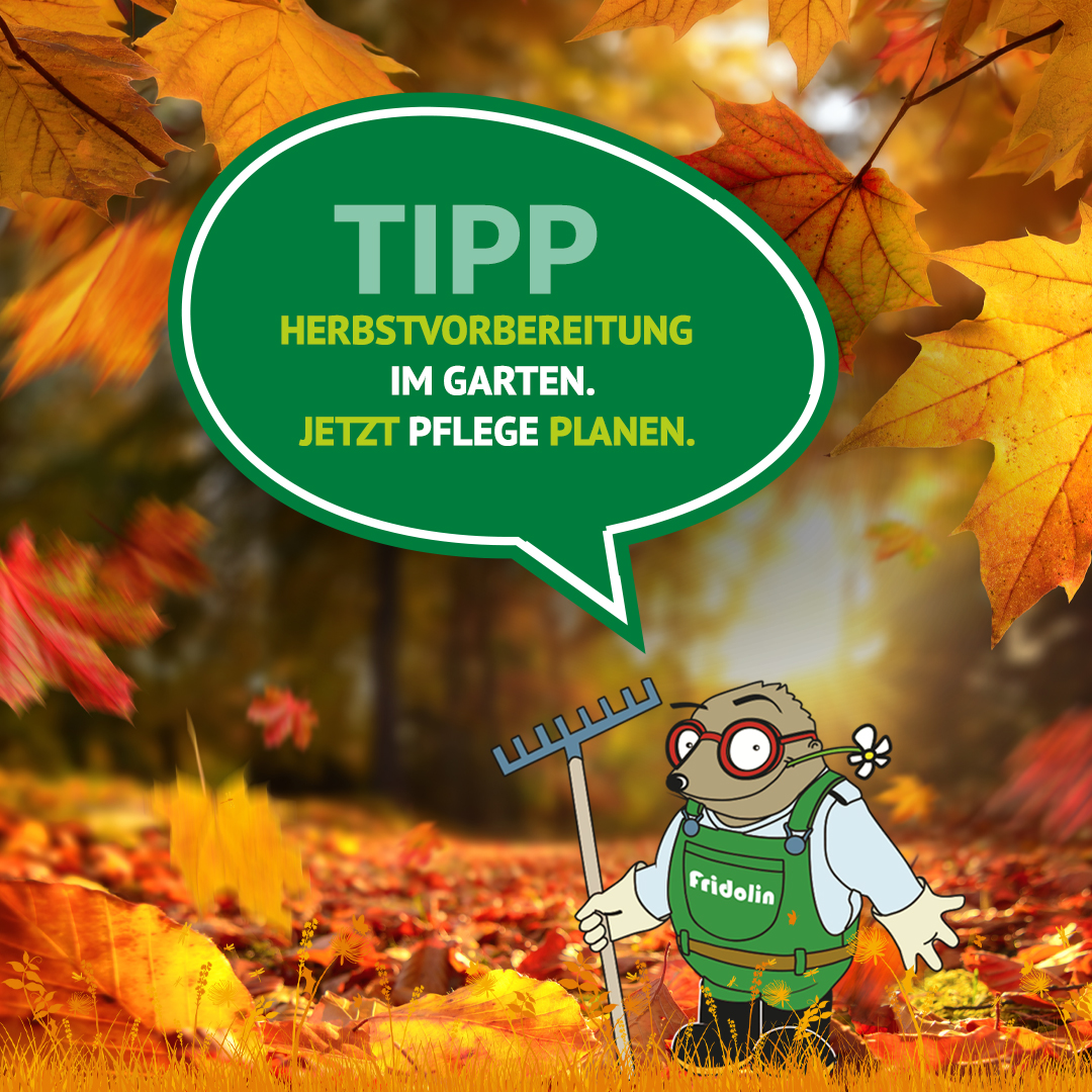 Gartentipp September: Startschuss für die Herbstvorbereitung! - Der Spätsommer neigt sich langsam dem Ende zu, und die Tage werden spürbar kürzer. Der September ist der Schlüsselmonat für Ihren Garten: Was Sie jetzt anpacken, legt den Grundstein dafür, wie gut Ihre Pflanzen durch den Winter kommen und im nächsten Frühling wieder erstrahlen!
