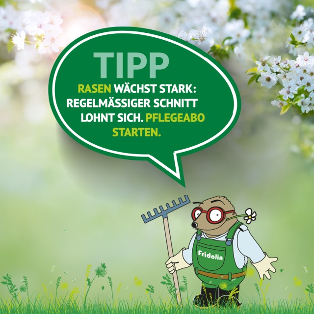 Gartentipp Mai: Volle Kraft voraus für Ihren Rasen! - Der Mai ist die Zeit, in der die Natur so richtig Gas gibt! Durch die Kombination aus milder Wärme und Frühlingsregen wächst Ihr Rasen jetzt besonders stark. Damit er nicht nur hoch, sondern auch dicht und kräftig wird, lautet das Motto: Regelmässigkeit ist alles.