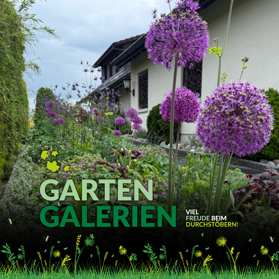 Willkommen in unserer Gartengalerie: Lassen Sie sich inspirieren! - Ein Garten ist weit mehr als nur eine Grünfläche – er ist Lebensraum, Ihr persönlicher Rückzugsort und die Visitenkarte Ihres Zuhauses zugleich.