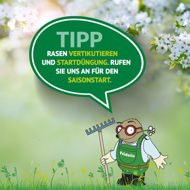 Gartentipp März: Fitnesskur für Ihren Rasen! - Endlich erwacht die Natur aus dem Winterschlaf! Der März ist der perfekte Zeitpunkt, um Ihren Rasen auf die kommende Saison vorzubereiten. Damit er bald wieder in sattem Grün erstrahlt, stehen jetzt zwei wichtige Schritte an: Vertikutieren und die Startdüngung.