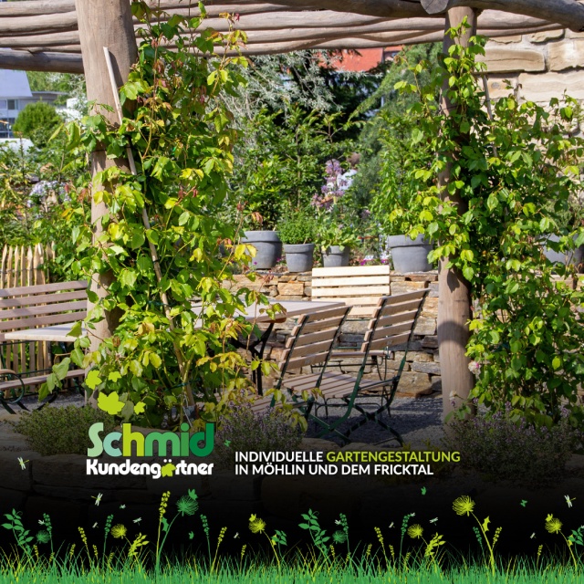 Individuelle Gartengestaltung in Möhlin & dem Fricktal - Ihr Garten ist weit mehr als nur eine Grünfläche – er ist Ihr persönlicher Erholungsraum, der Ihnen täglich neue Energie schenkt.